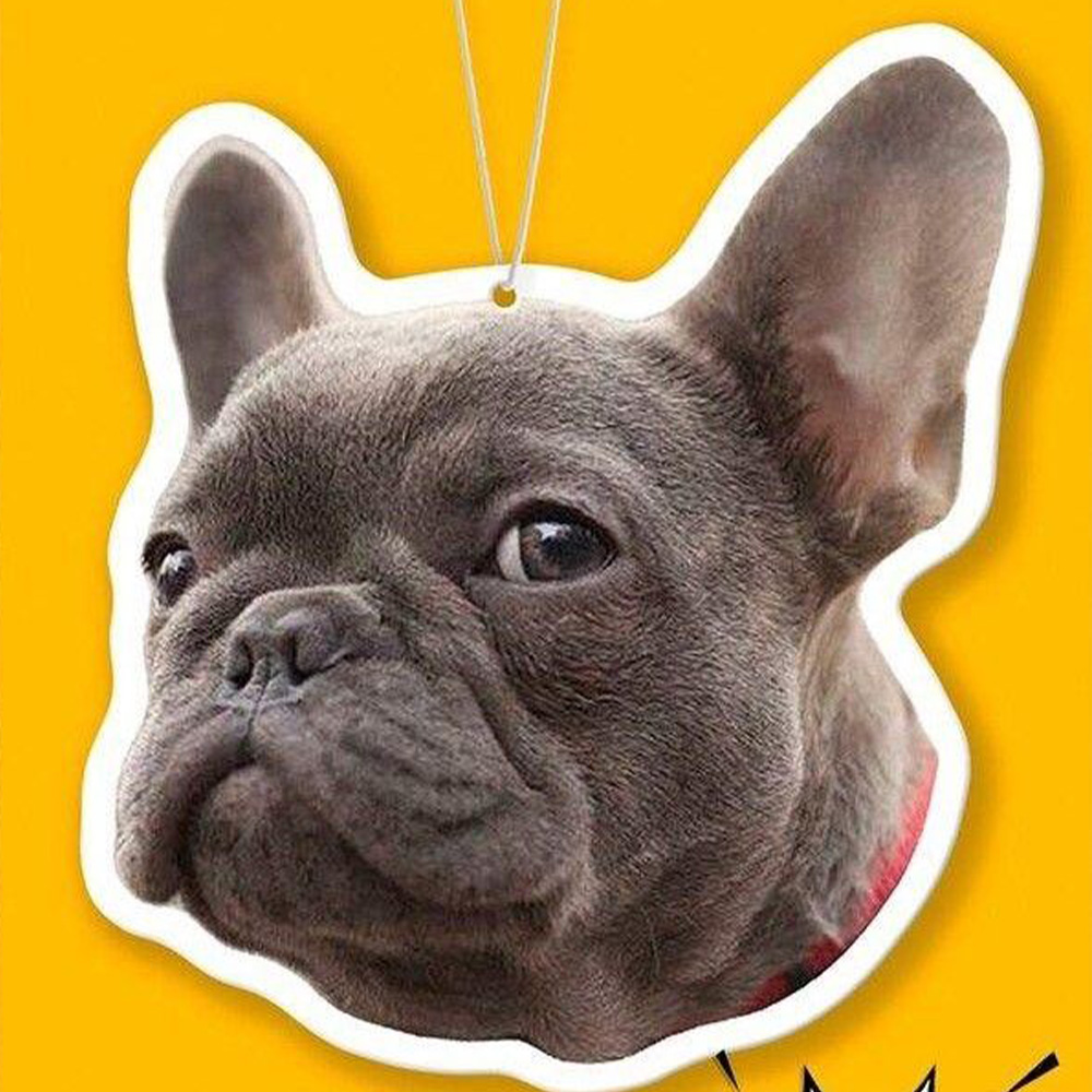 Colgador de coche personalizad - Car Accessories Hanging reseña y precio